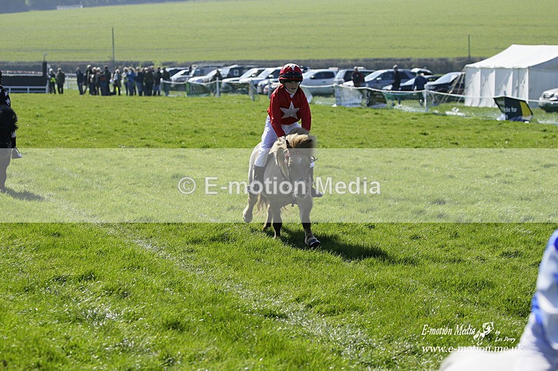 PtP 190322 28 - Wilton Hunt PtP Milborne St Andrew 19/03/22