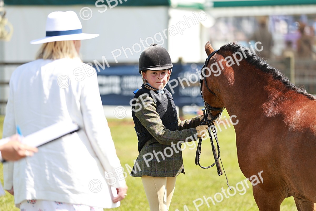 SBM_13600 - Class 108-109 - BSPS LIHS Open Gradle & Nursery Stakes