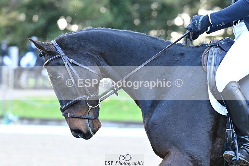 251023A-154848-05951 - B-165-Chloe.Pearson