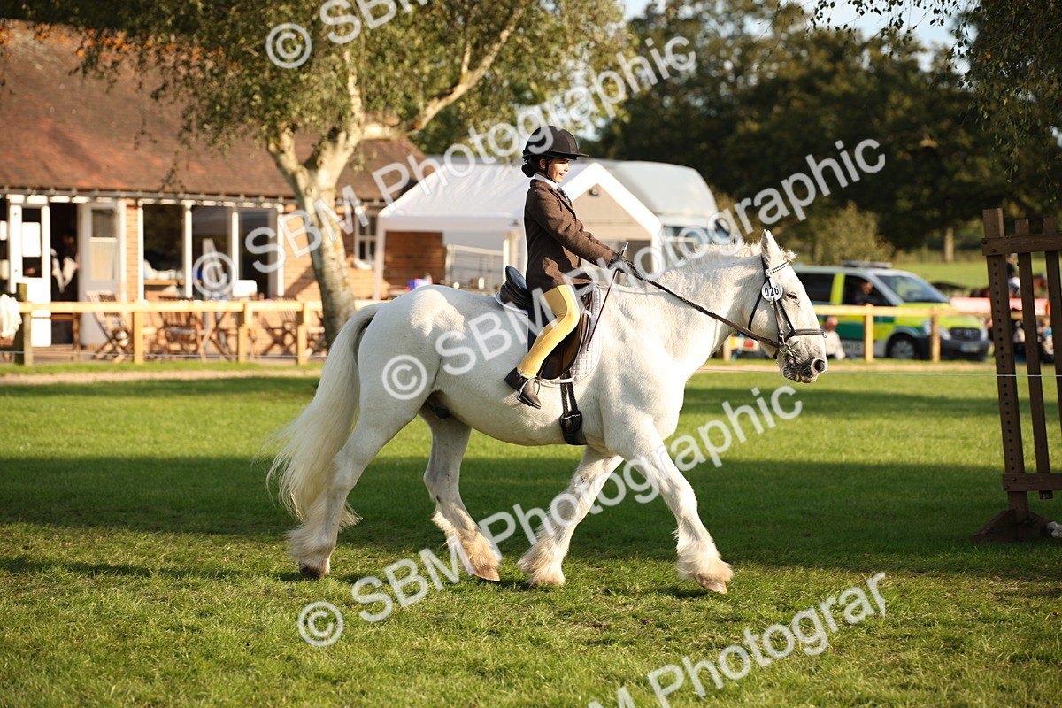 SBM_54383 - S27 - Mature Veteran - Ridden