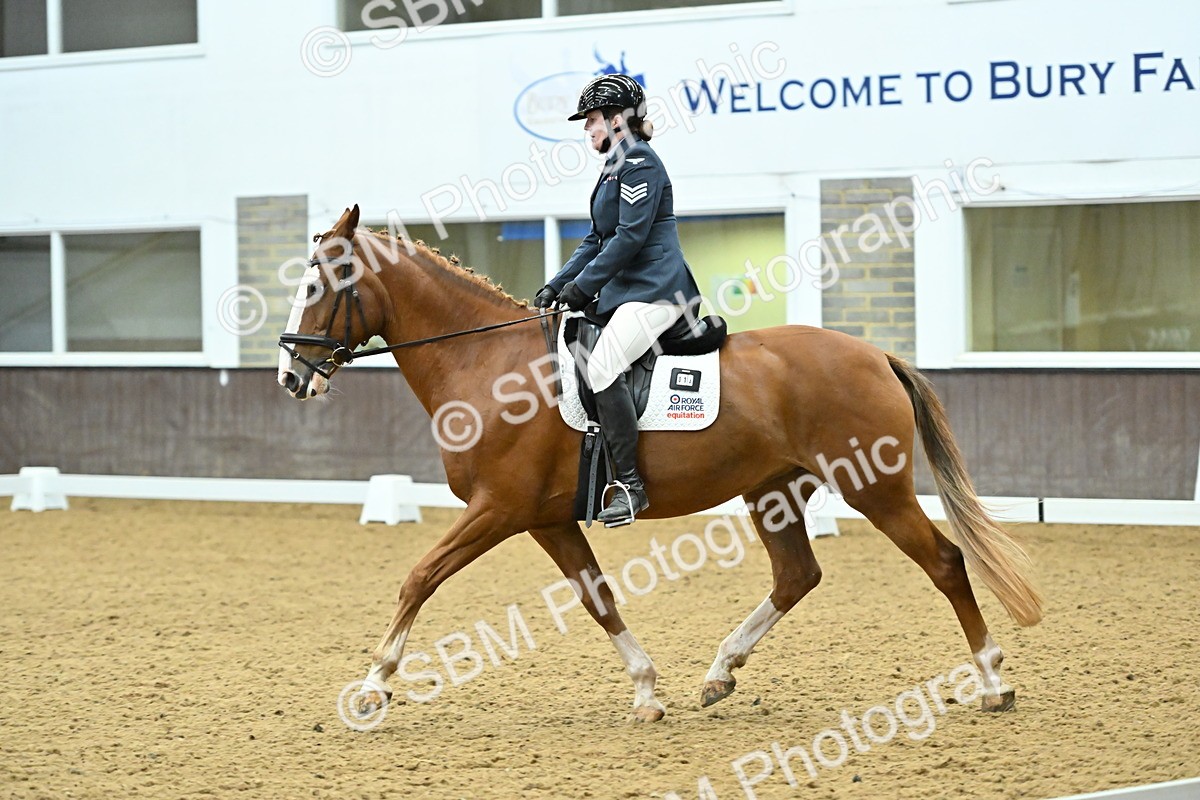 SBM_007558 - Class 81 - Novice 3