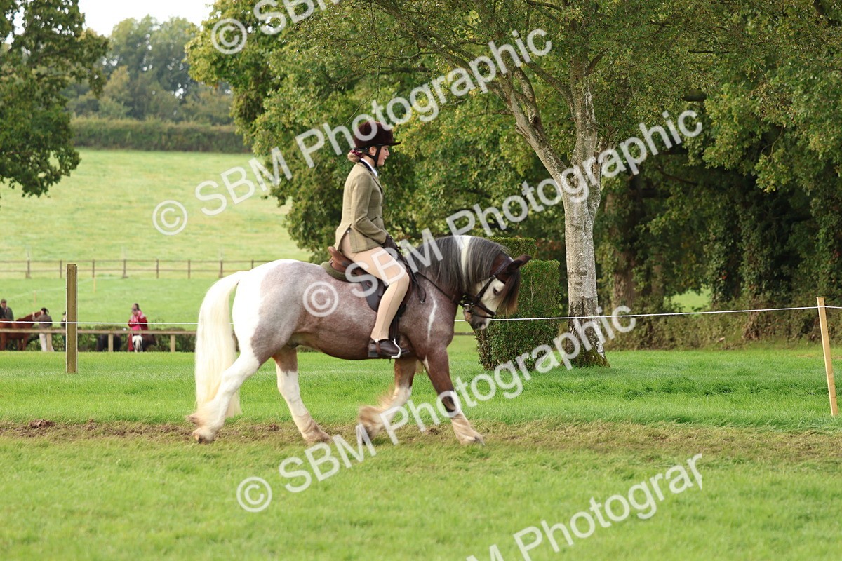 SBM_56579 - S40 - Starters Ridden Showing