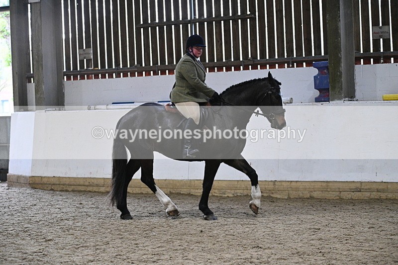 WJ7_3905 - Class 17 Ridden Cob