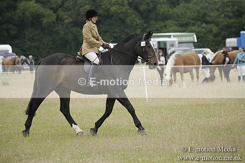 B230619-0322 - Bourne Valley Riding Club Summer Show 23/06/19