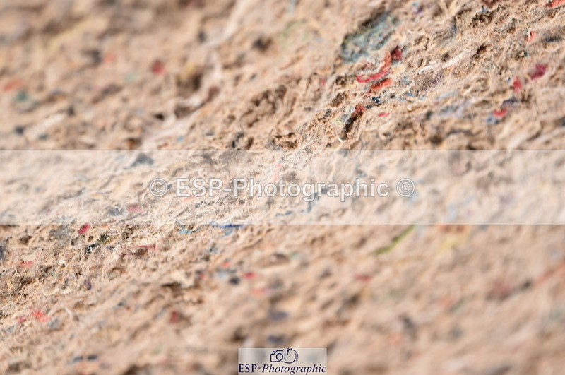 231029A-103022-02307 - 70cm Pony Intro