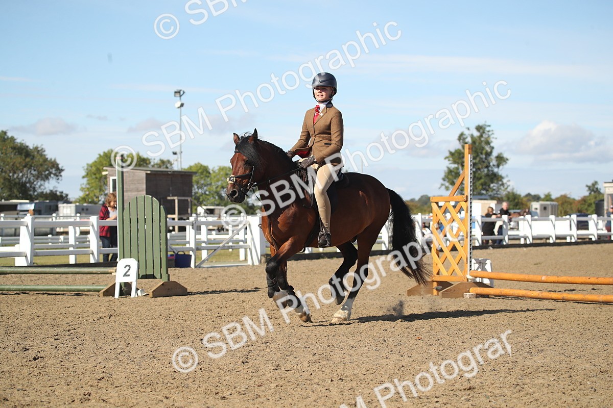 SBM_12726 - Class 504b - Junior Working Veteran - 40cm (20+)