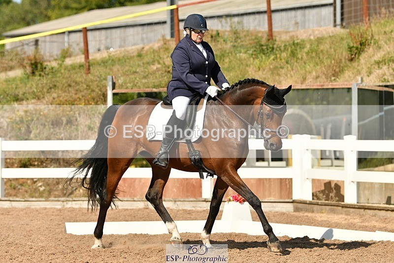 250817-155500-11387 - 211-Carey.CollettRubin's.Fanfare