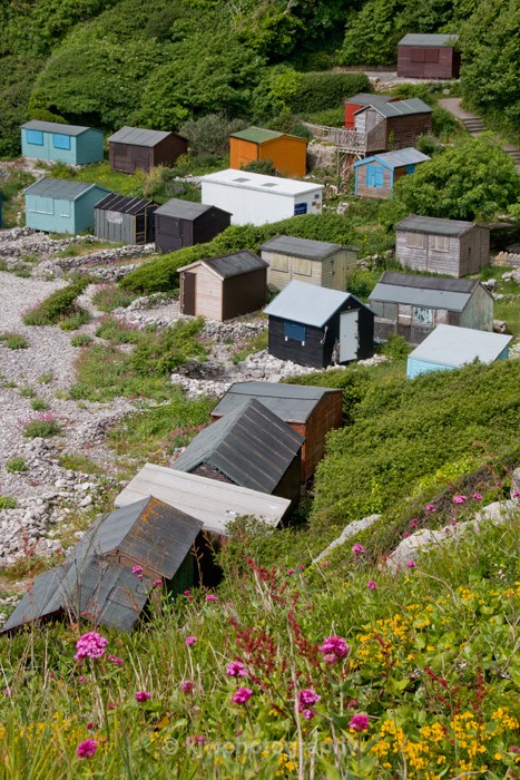 Beach Huts - Gallery 2