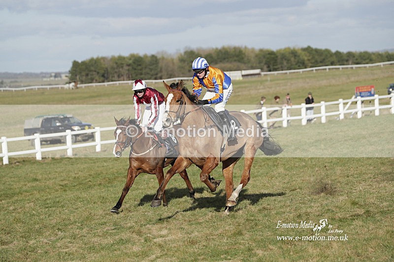 PtP 260223 1228 - South & West Wilts Point-to-Point Larkhill 26/02/23
