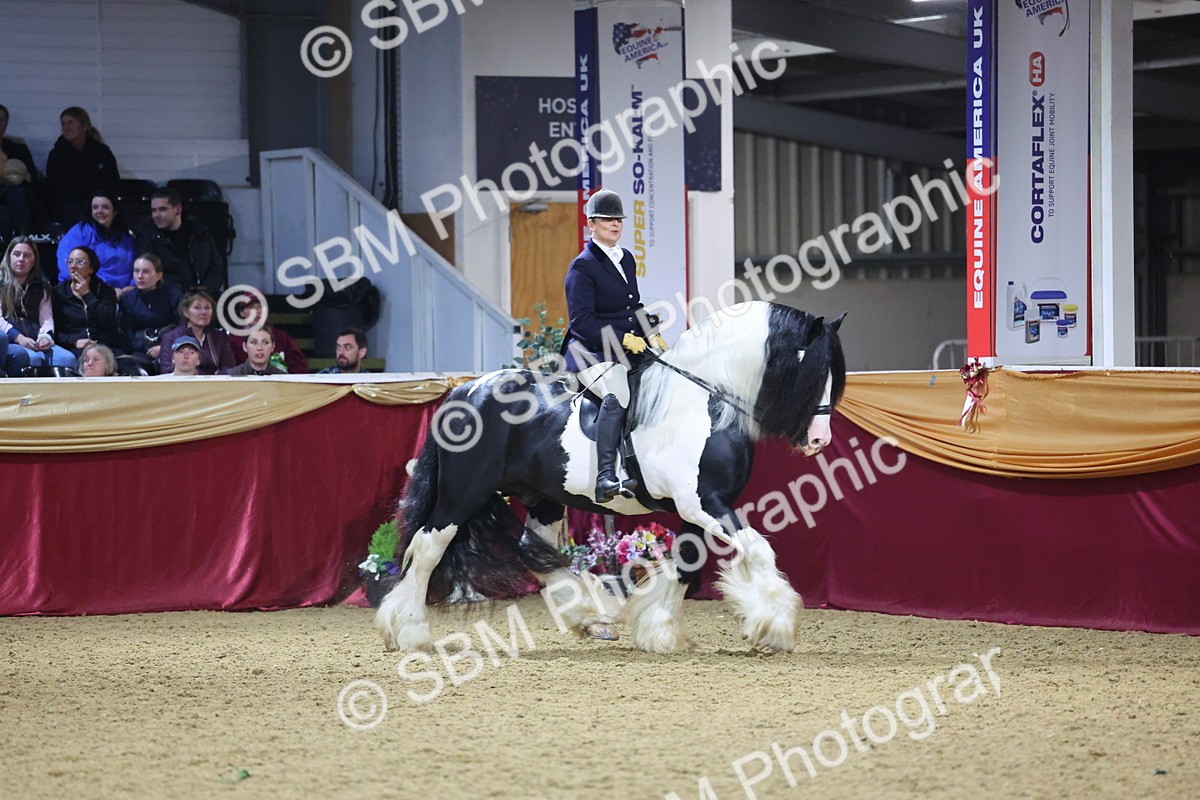 0B8A4804 - Class T Champion of Champions