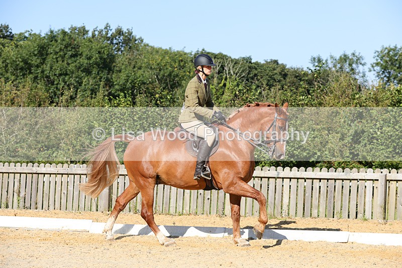 1X9A7751 - Class 9: Open Ridden Hunter