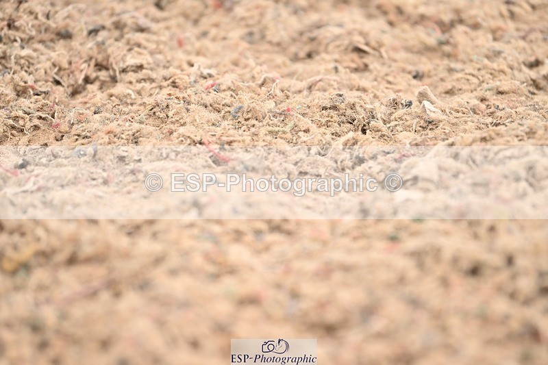 250705-175520-03900 - BRCP4 Sections BRCP4SNR, BRCP4JNR 13.50 to 14.53