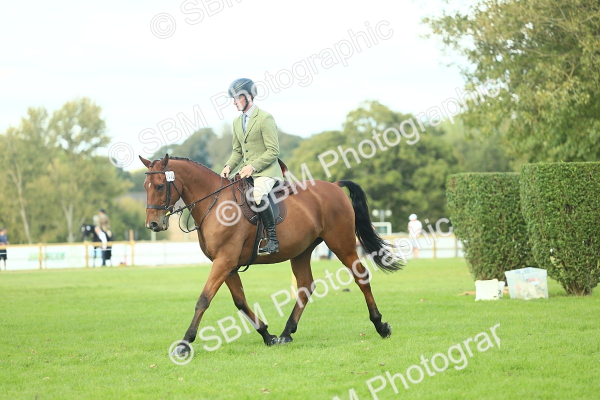 SBM_50750 - S33 - Working Hunter & Working Show Horse