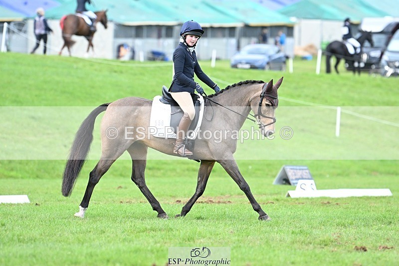 231020-161304-11627 - 558-BATHLEYHILLS.GOLDEN.SPRAY-Cleo.Whitbread-DR