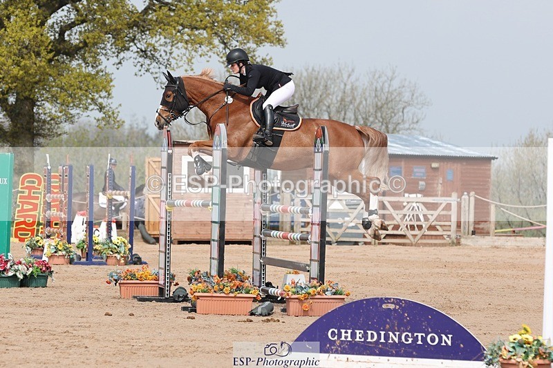 250424-110339-03361 - Cls 33 Young Horse 7yr old