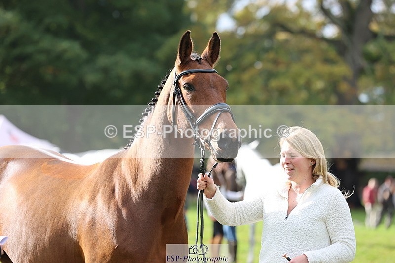 251026A-120452-25872 - G-506-Felicity.Egan