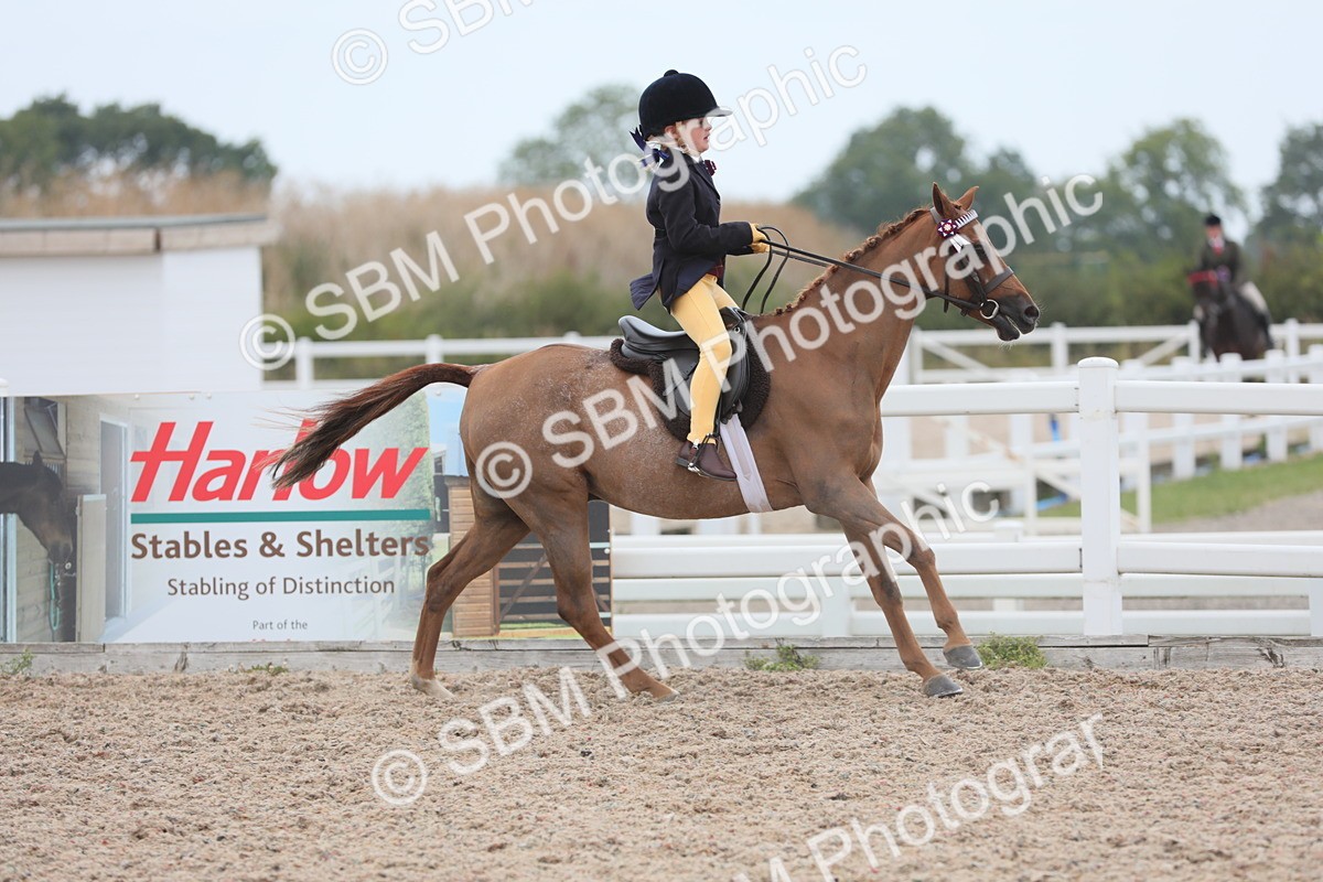 SBM_18054 - Class 316 Best Pony/Rider Combination