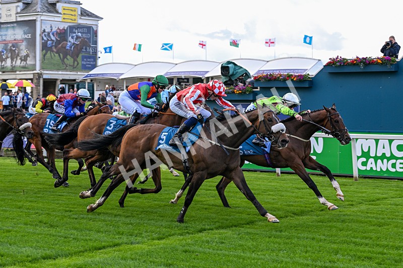 120626-Race 1-Our Havana-6624 - Race 1 13.50pm Andy Thornton Hospitality Furniture Apprentice Handicap