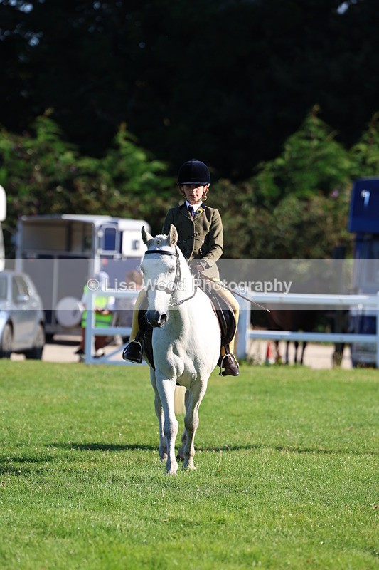 3E7A7495 - Class 1: Novice Working Hunter Pony
