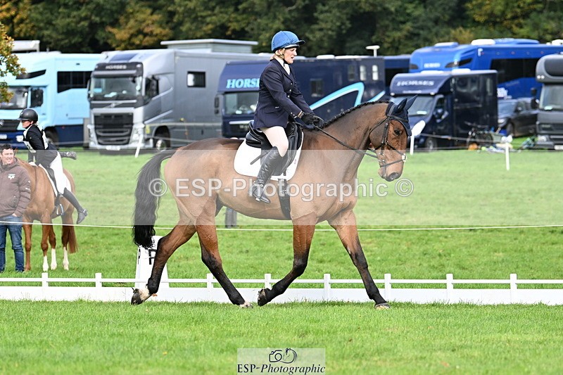 251023A-113525-03614 - G-514-Carolyn.Price With Trot Up