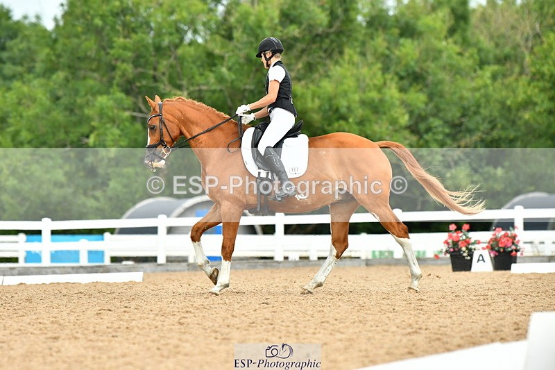 230702A-111912-08671 - Cls 26 Novice 37A