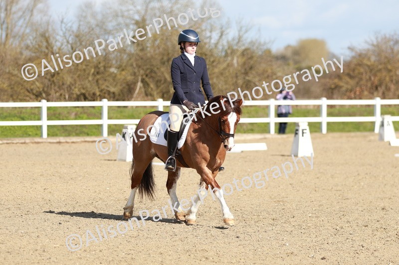 20260314-4306 - DR4 - Prelim 2