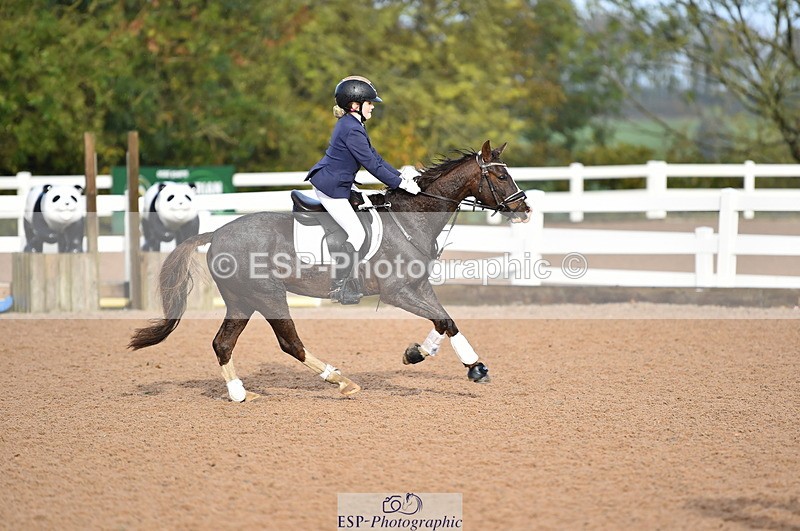 231028A-102654-00421 - Cls 1 Pony 70cm