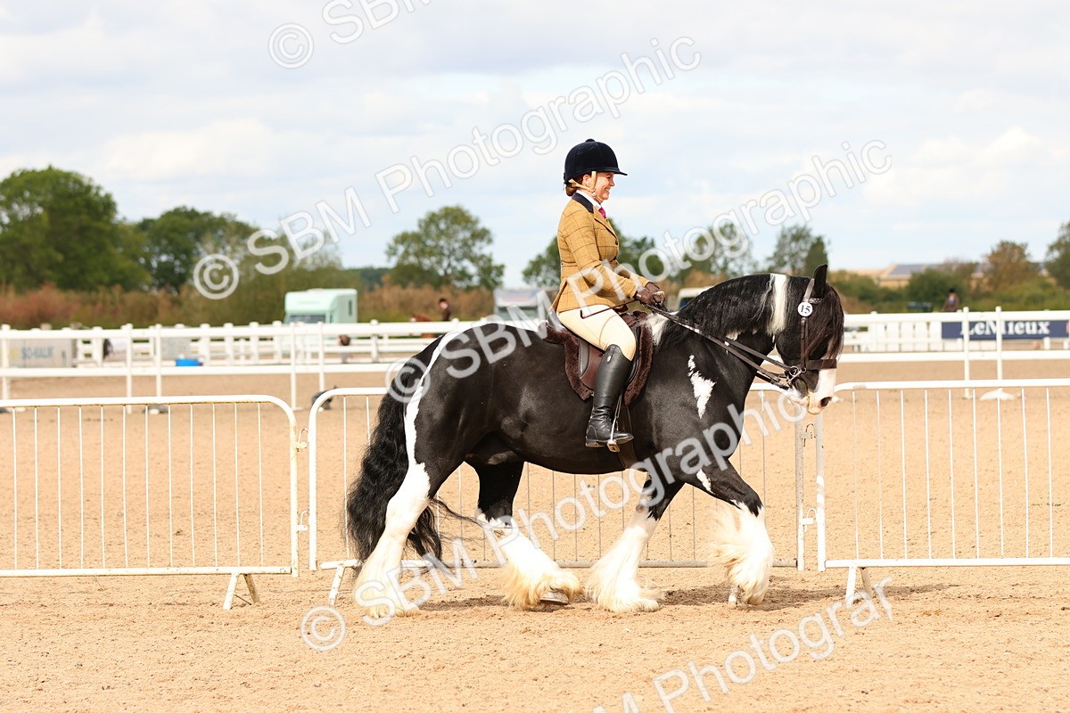SBM_15654 - Class 215 - Ridden Traditional - Native Cobs
