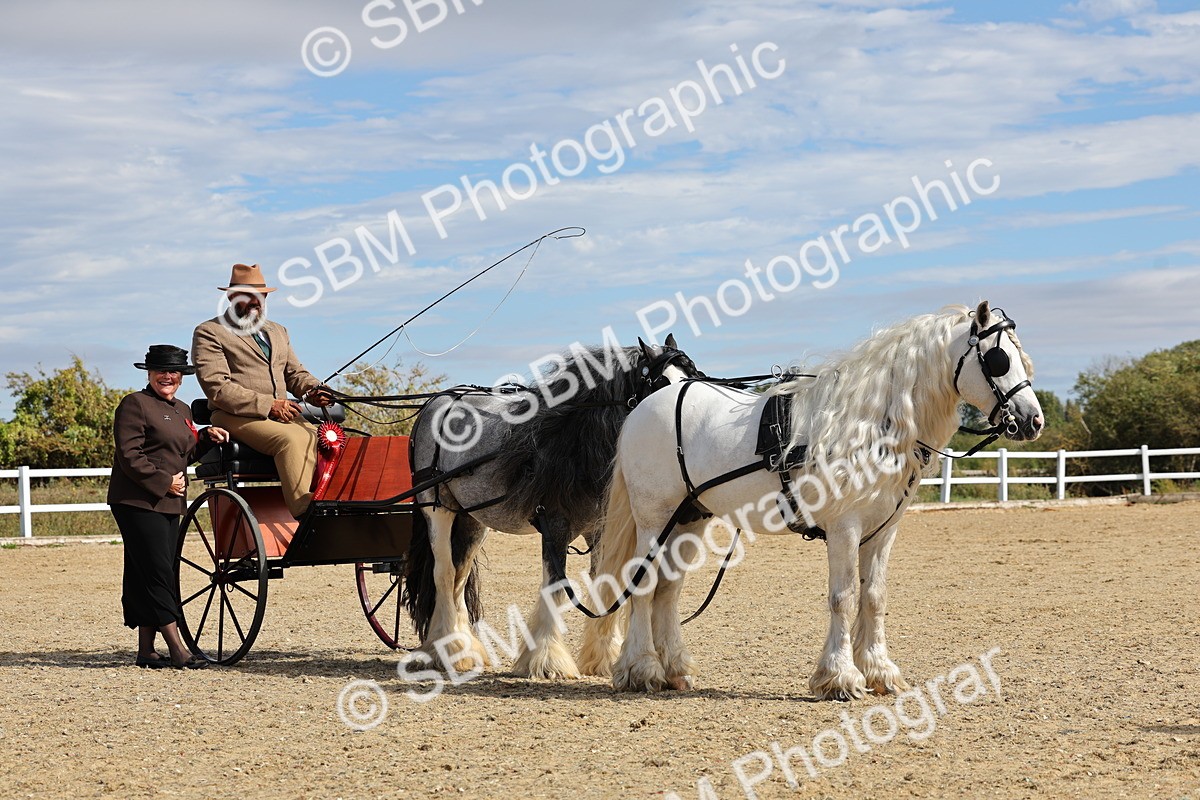 SBM_001246 - Class 16 - Pairs ,Multiples and Tandems
