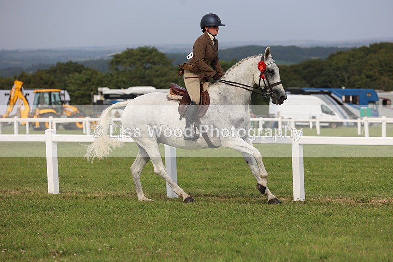 JPP_4669 - Working Hunter Championship