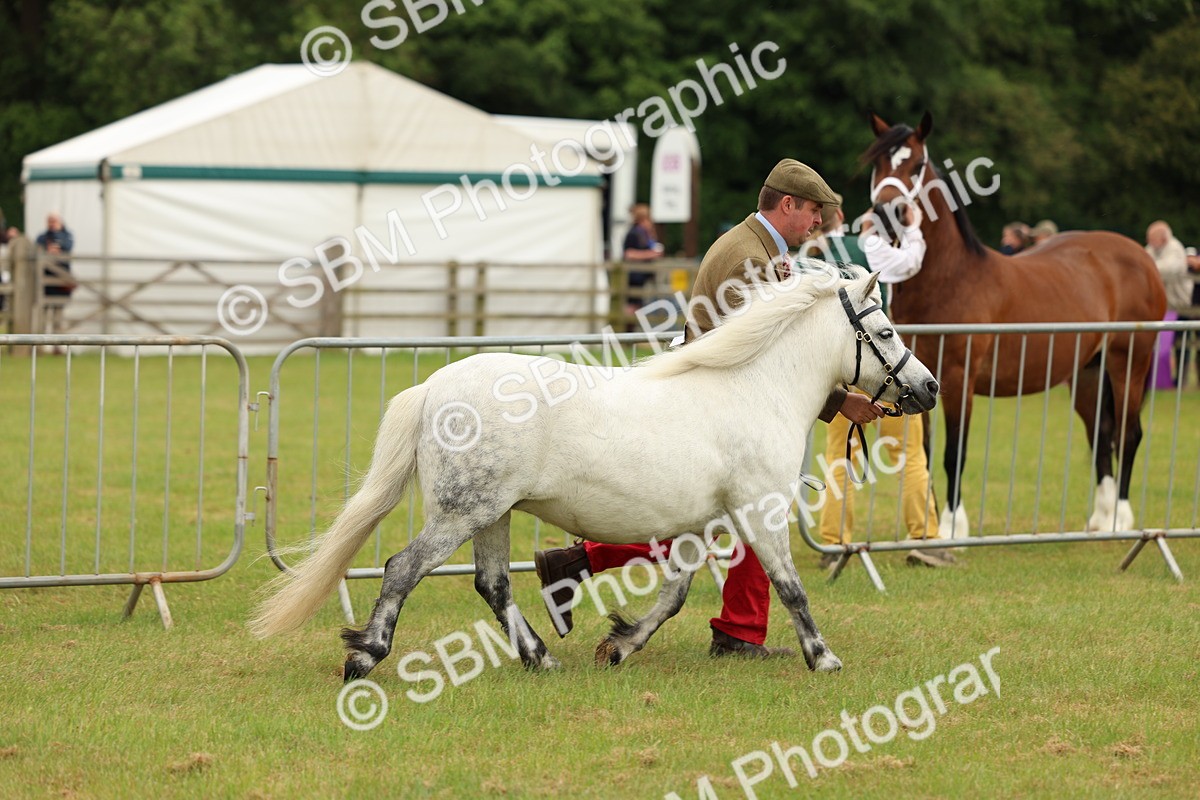 SBM_03515 - Class 58-67 - M&M Non Welsh Pony In hand