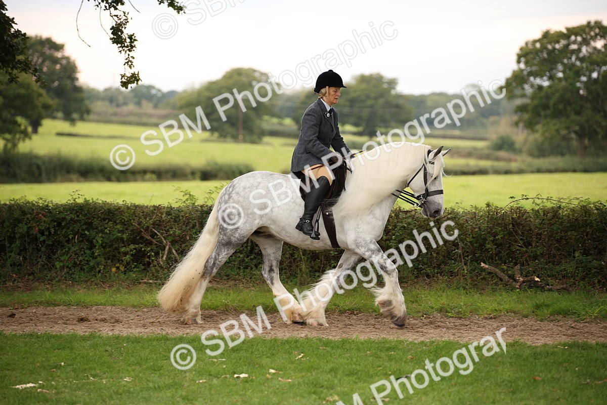 SBM_73418 - S68 - Traditional Cob Ridden