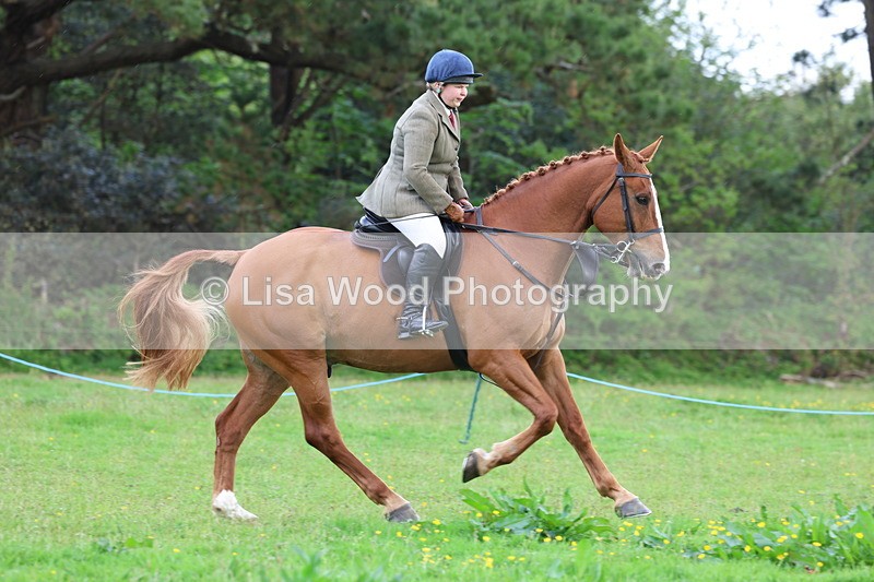 3E7A2584 - Classes 30 and 31: 80cm Working Hunter