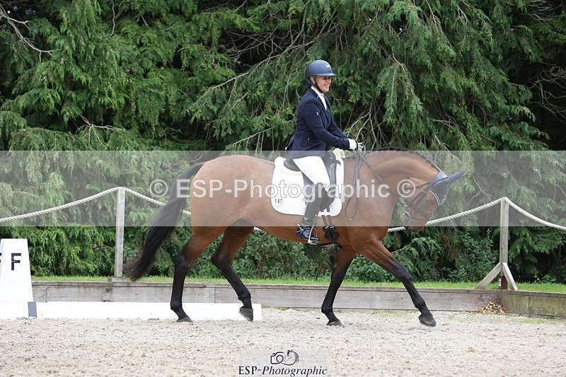 230812-150548-05048 - Cls 5 Novice Bronze 15.00 to End