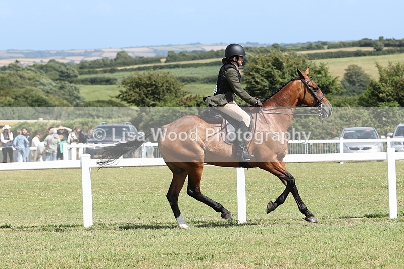 JPP_2303 - Class 19: Working Hunter 60cm