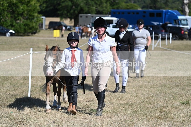 WJ7_1849 - Class 43 Best Six Legs (In hand)