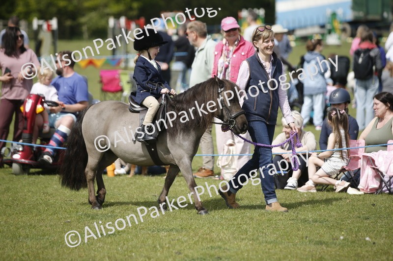 20260426-1821 - Class 7 - Pony Judge Would Most Like To Take Home