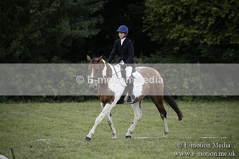 BVR090918 196 - BVRC Dressage and Show Jumping 09/09/18
