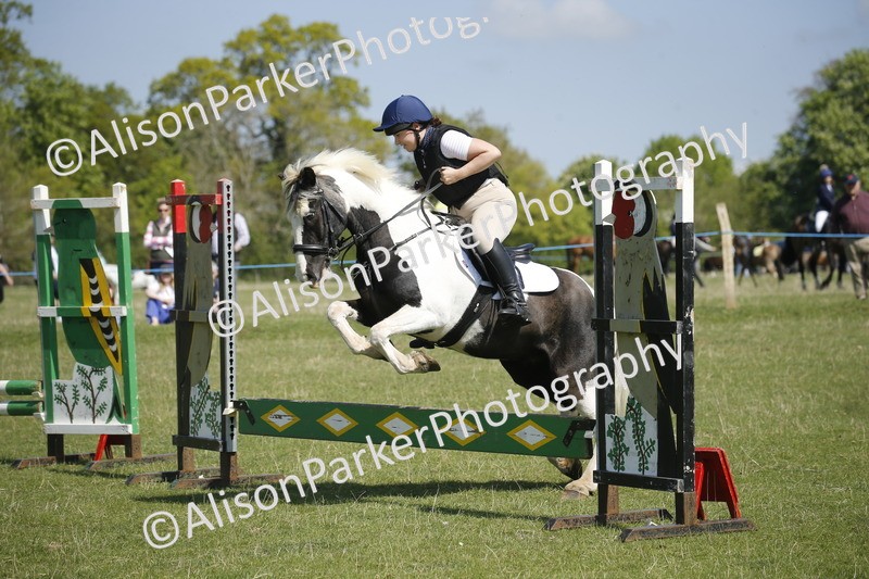 20250427-2231 - Class 13 - Novice Jumping 60cm