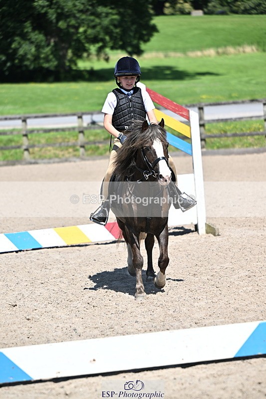240729B-113546-02444 - Showjumping Competition