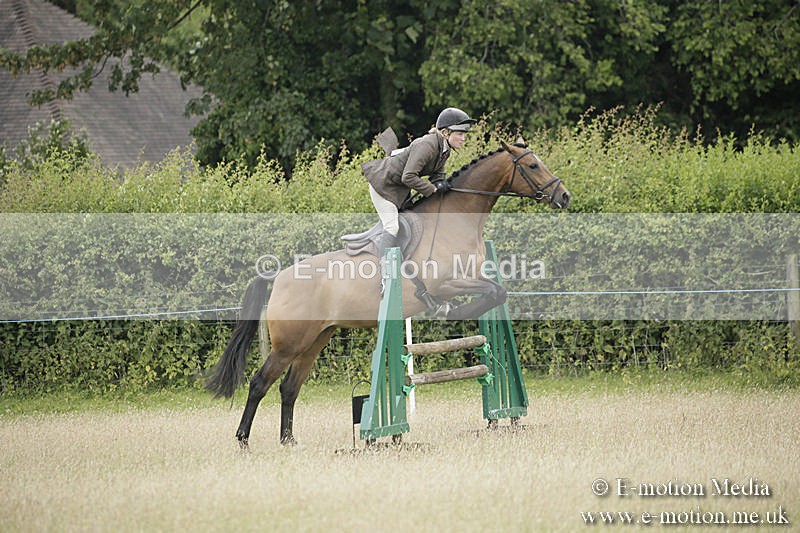B230619-0878 - Bourne Valley Riding Club Summer Show 23/06/19