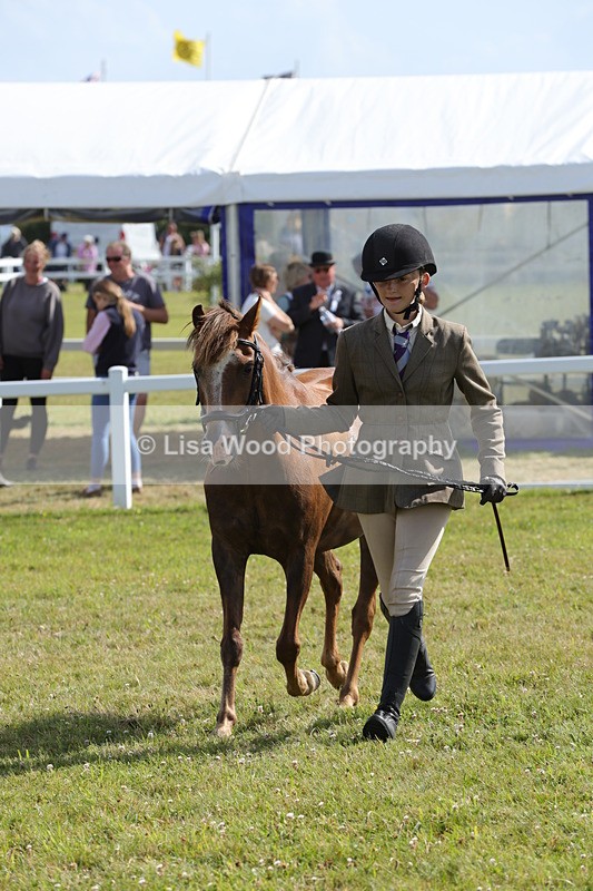 1X9A5817 - Class 40: NPS Welsh A & B