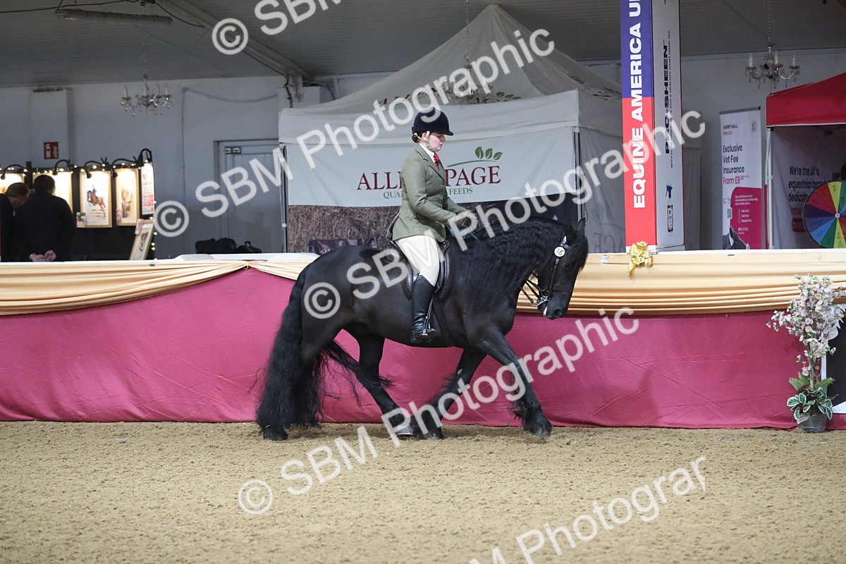 SBM_10319 - Class 102 Equitation (best rider) Adult