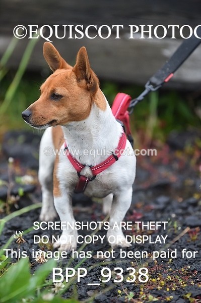 BPP_9338 - CLASS 17 SUN Springboard 128cm/ 138cm Restricted Handicap