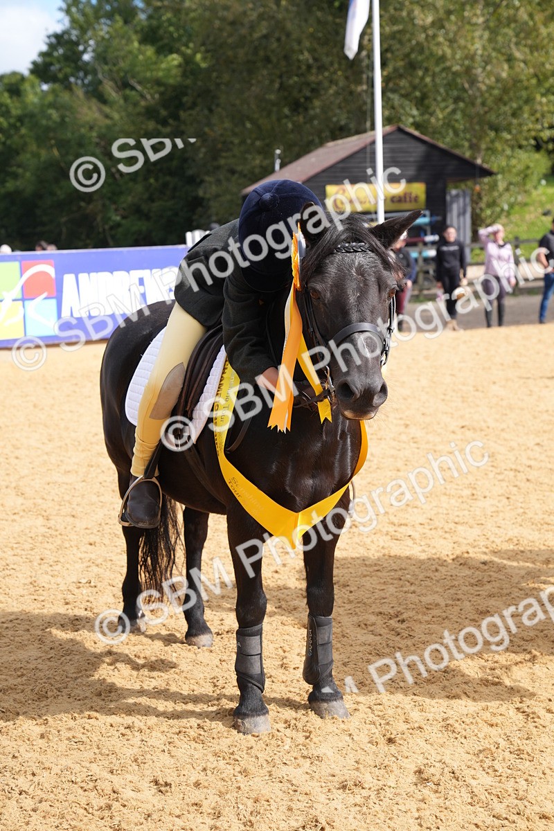 SBM_64522 - J2 - Mini Tour Junior Pony 30cm Championship