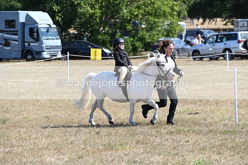 WJ6_7835 - Class 36 Lead Rein