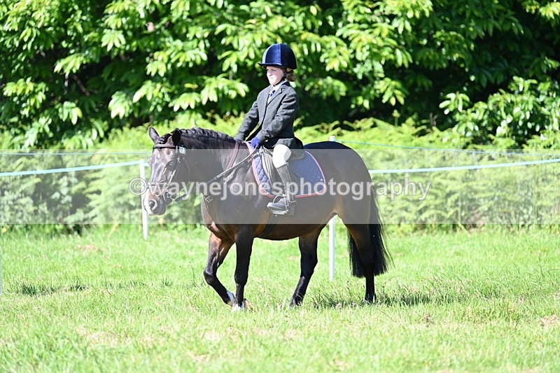 WJ7_0348 - Class 8 First Rally Pony