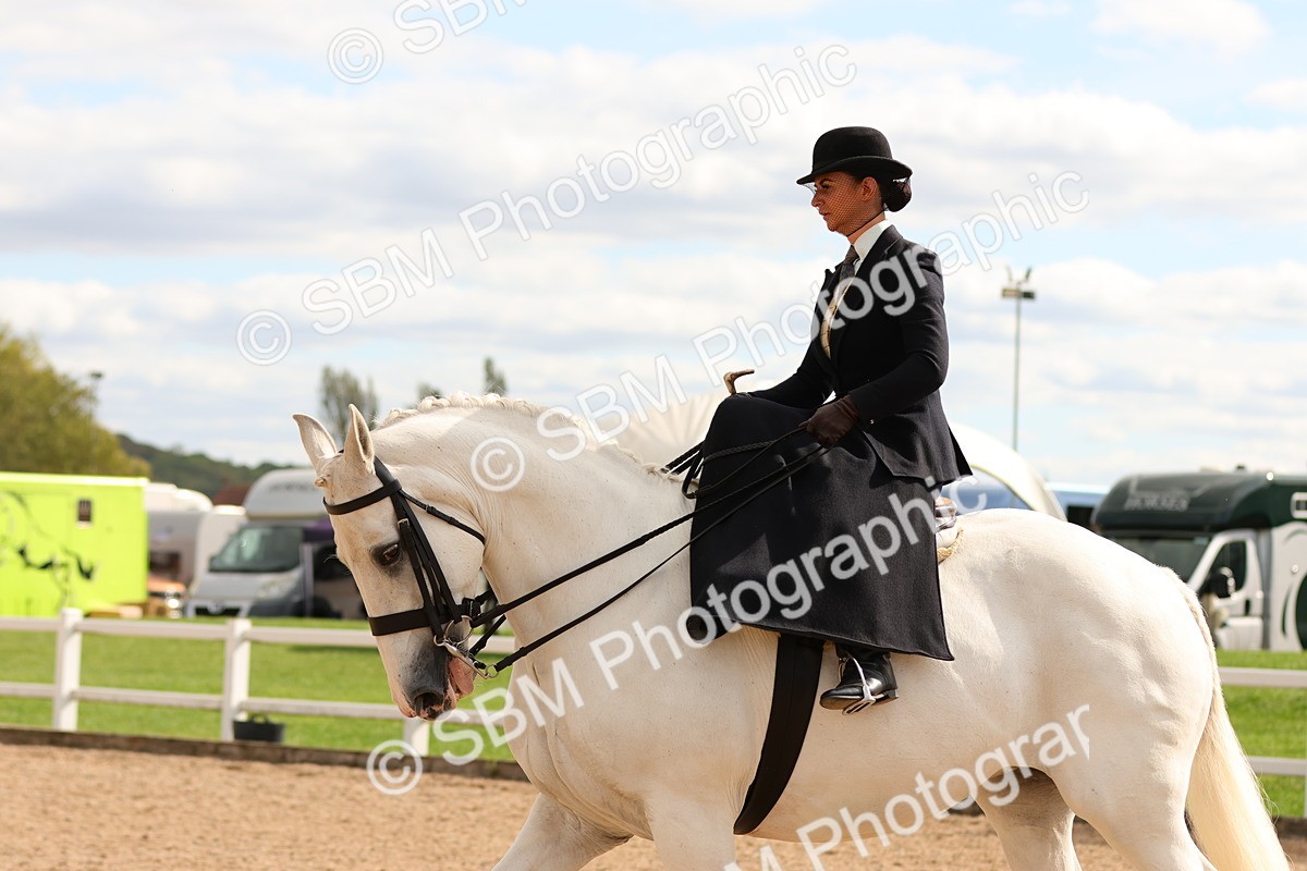 SBM_15900 - Class 216 - Best Side Saddle Horse-Pony