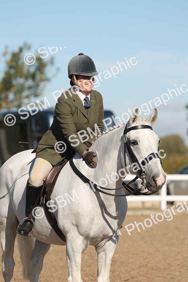 SBM_12227 - Class 303 - Ridden Pure Bred Horse Pony