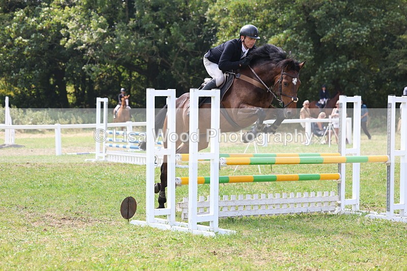 3E7A2888 - Class 7: Senior British Novice/90cm open